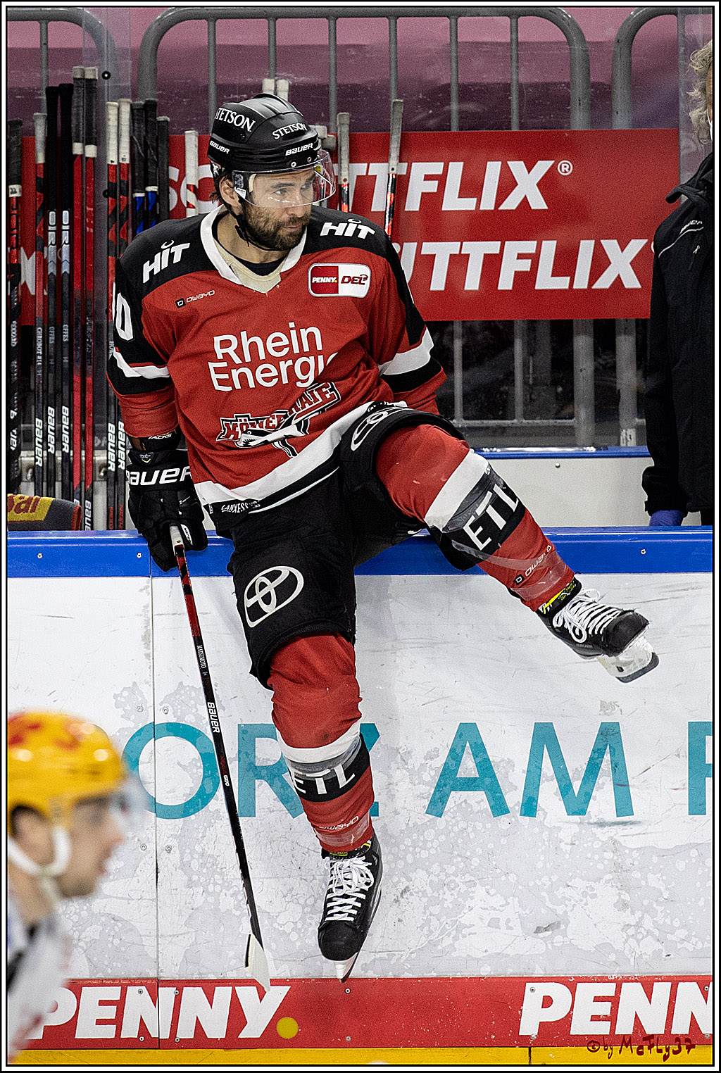 PENNY DEL;  Koelner Haie - Fischtown Pinguins Bremerhaven; Koeln, 03.01.2022